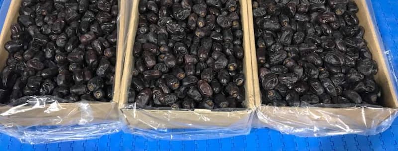 قیمت خرما مضافتی عمده