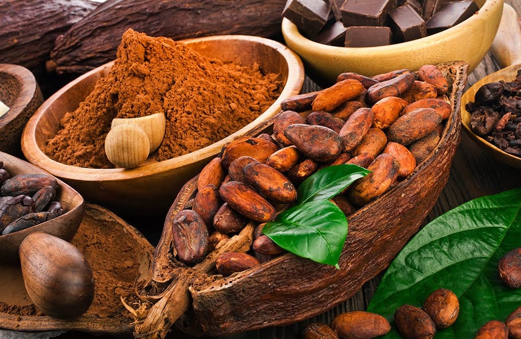 پودر هسته خرما مشهد