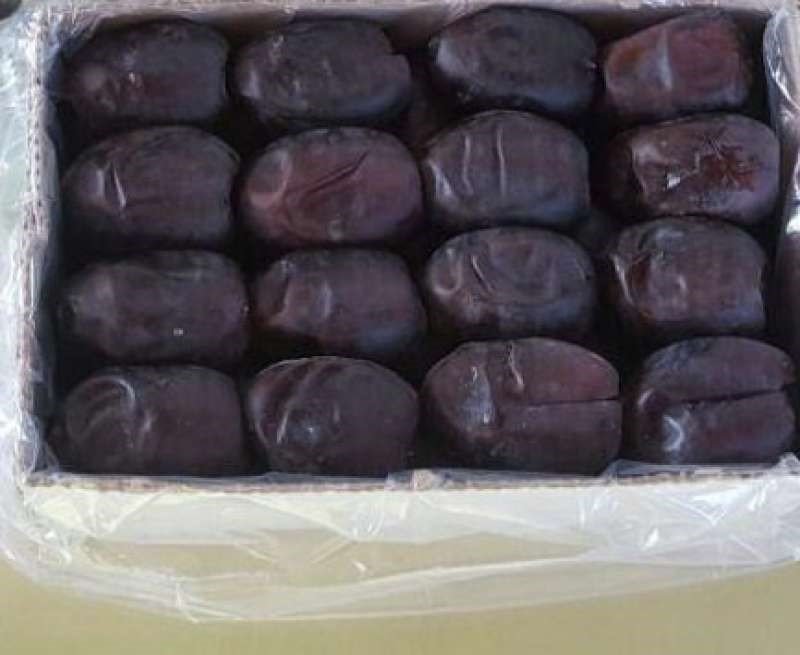 فروش عمده خرما مضافتی بم