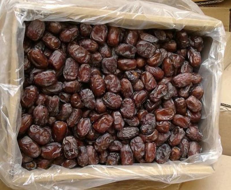 صادرات خرما برحی