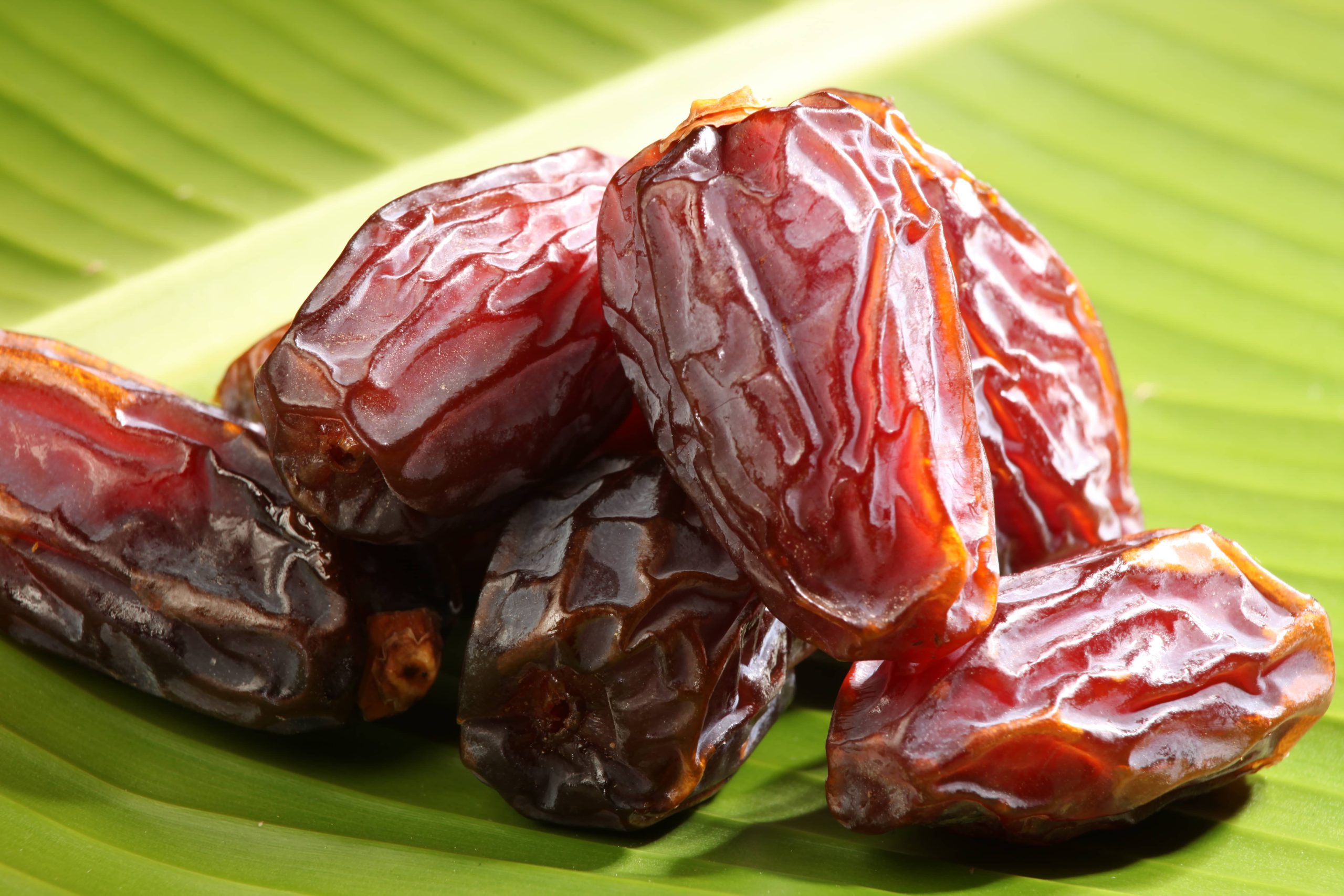 خرما پیارم زاهدی