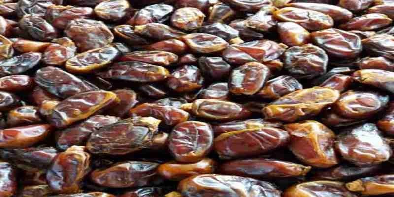 قیمت خرما استعمران