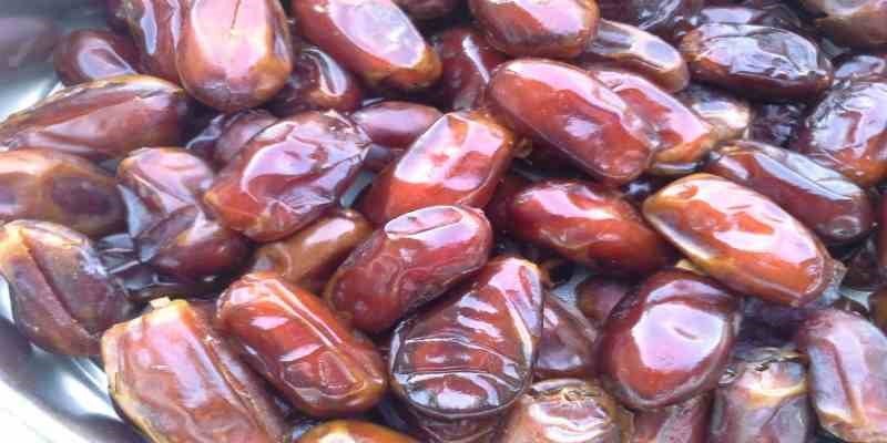 خرما استعمران خوزستان