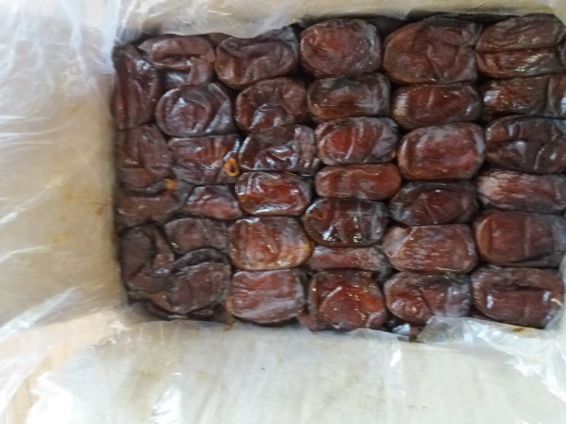 تجارت خرما برحی