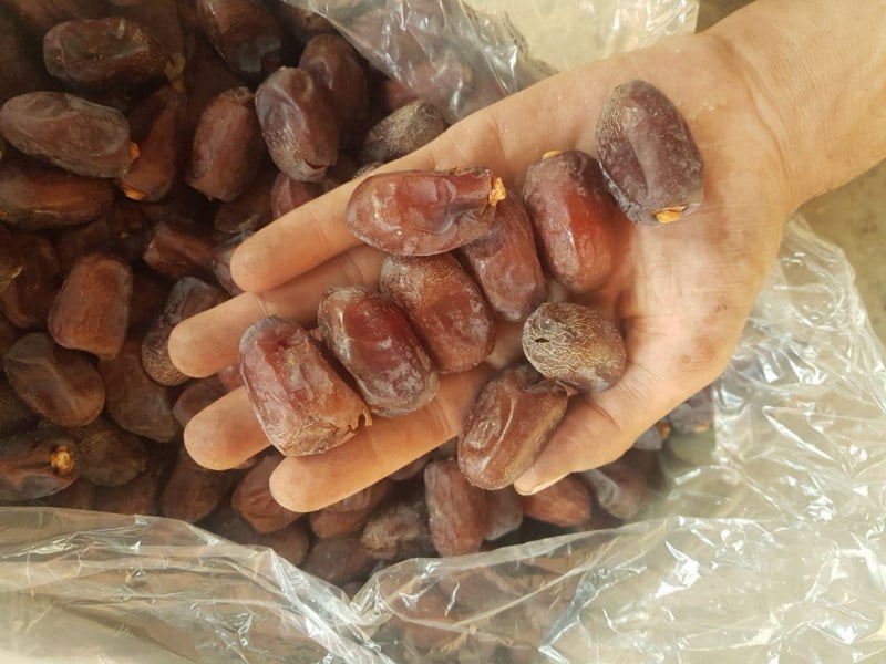 تجارت خرما برحی