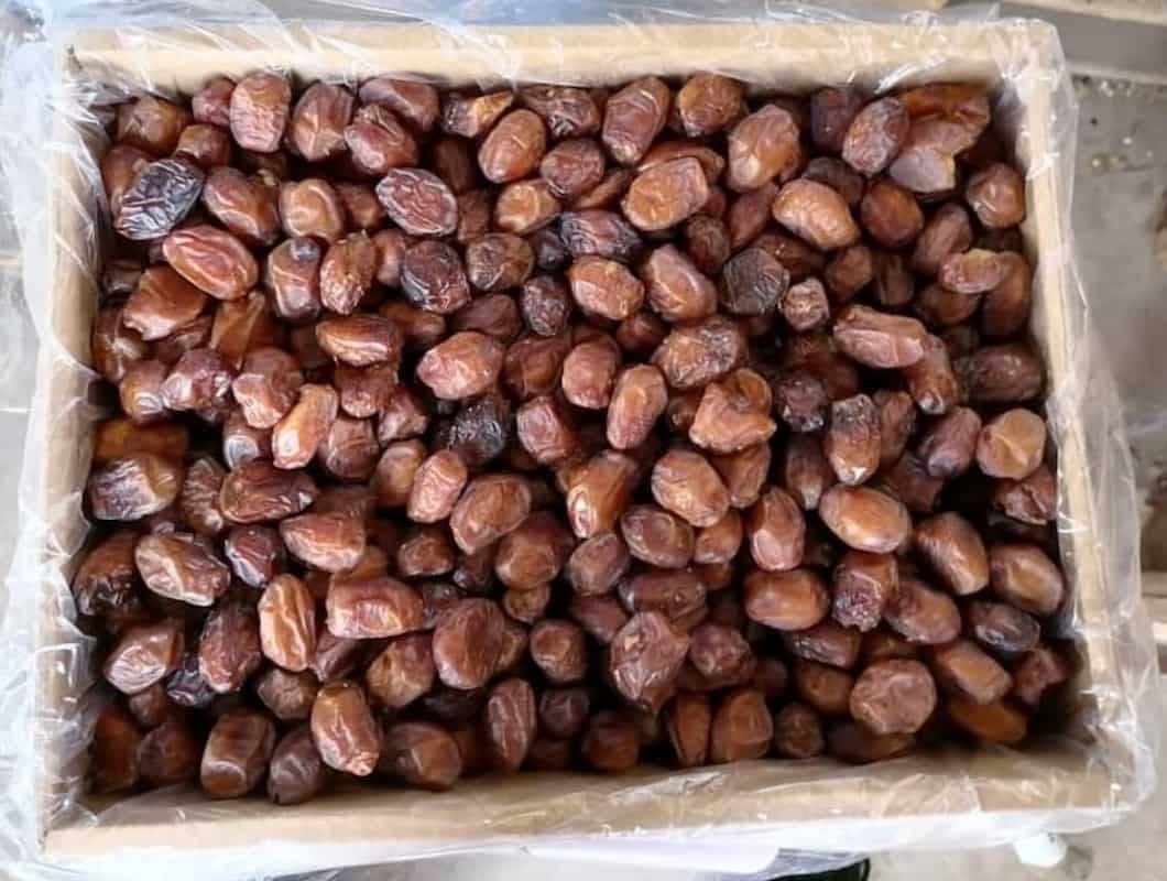 خرما خاصویی بندرعباس