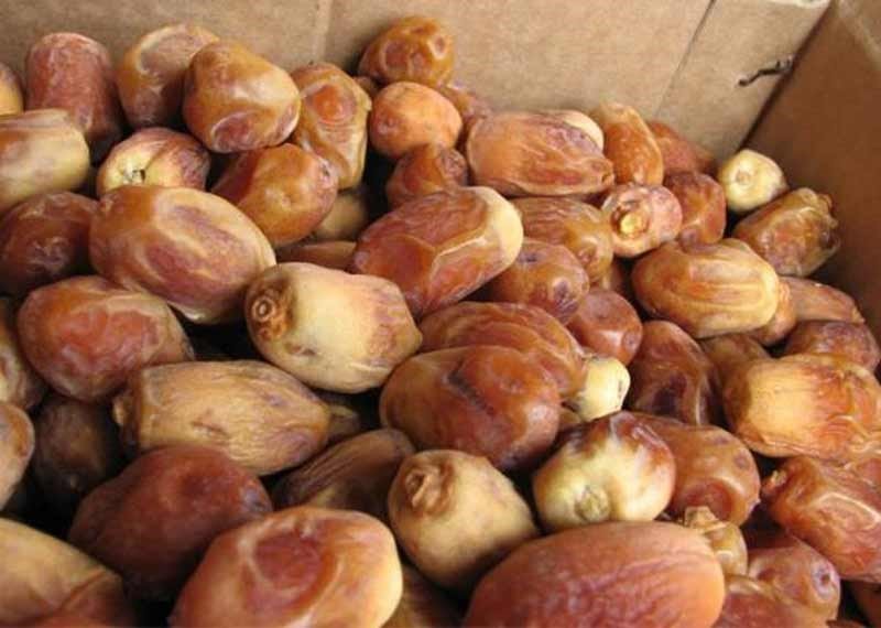 خرما زاهدی درجه یک 
