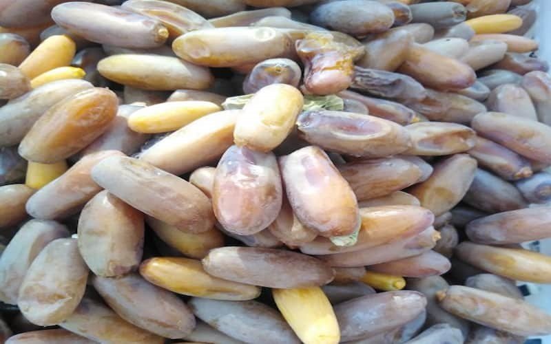 خرما شاهانی خشک