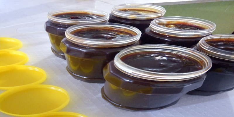 قیمت شهد خرما