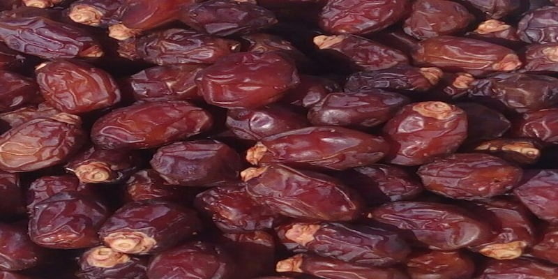 خرید اینترنتی خرما خاصویی