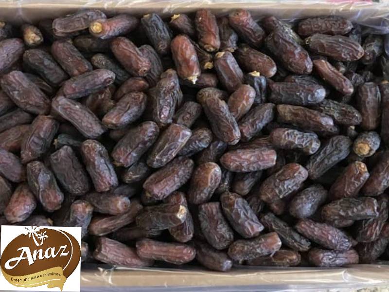 آشنایی با خرما پیارم