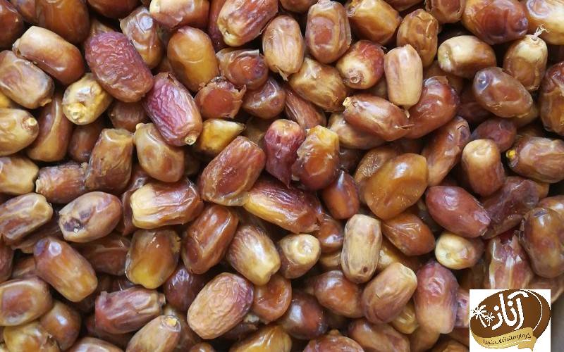 خرید خرما زاهدی