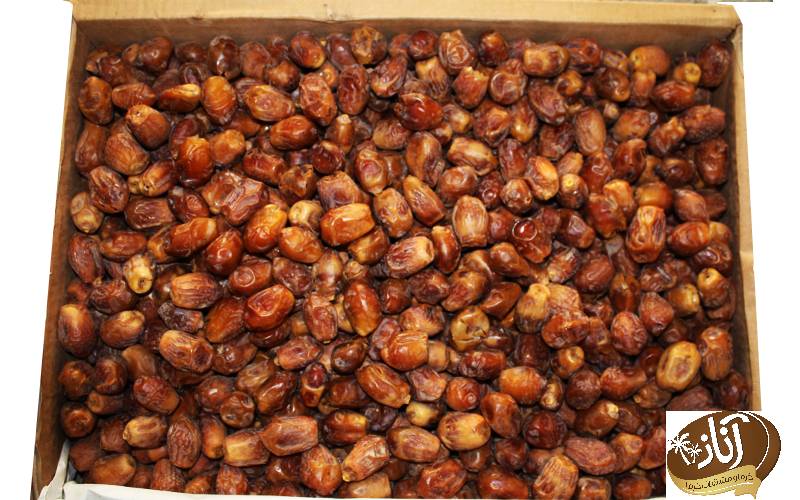 خرما زاهدی عمده