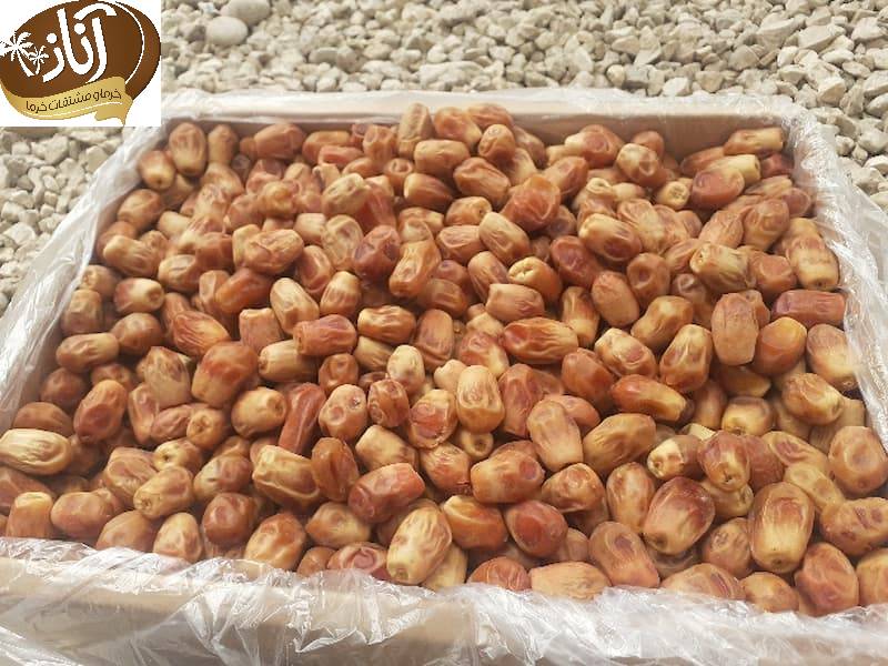 خرما زاهدی مشهد
