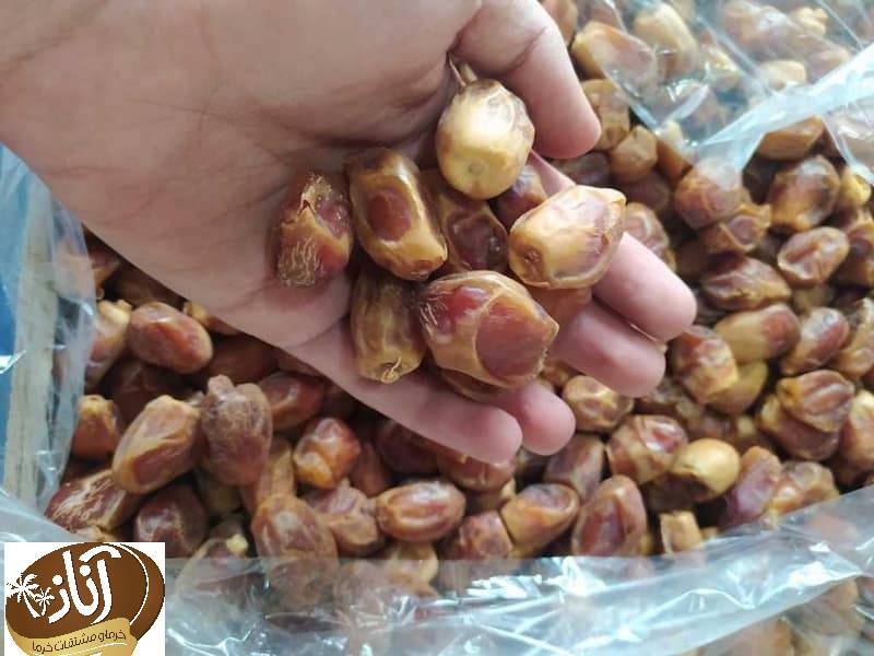 خرمای زاهدی بوشهر