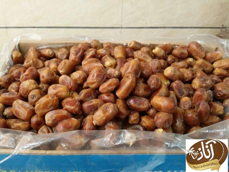 قیمت خرما زاهدی در بوشهر