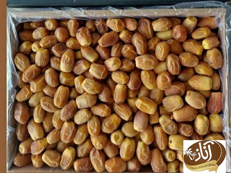 خرما زاهدی خوزستان