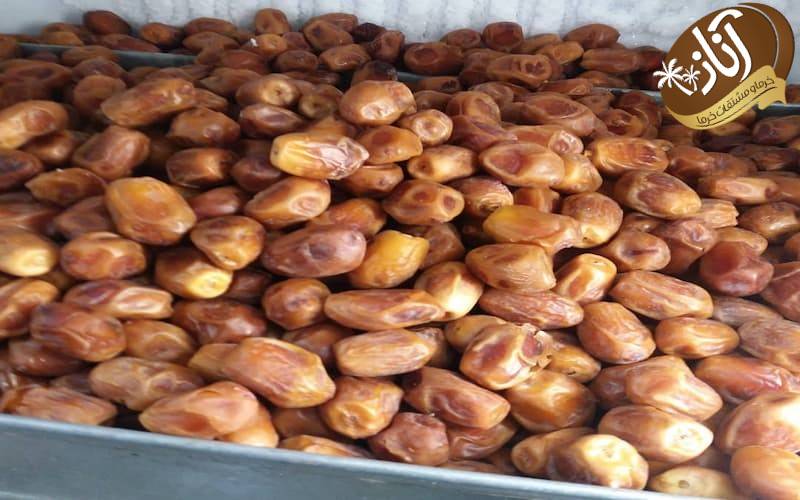 خرمای زاهدی 