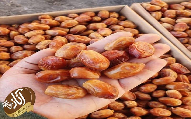 خرمای زاهدی خشک