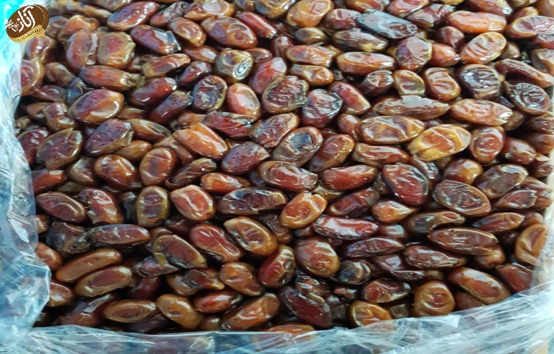 خرما استعمران صادراتی
