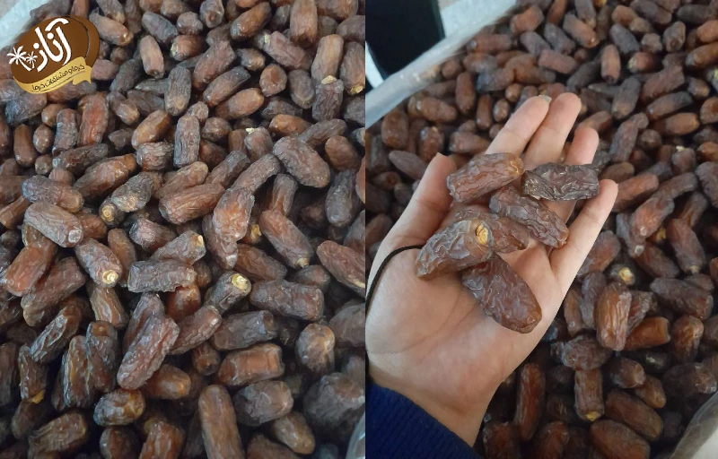 خرما پیارم صادراتی