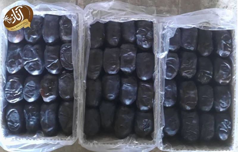 خرما مضافتی صادراتی