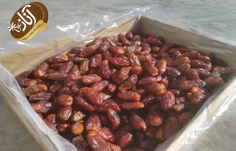 خرما شاهانی ممتاز