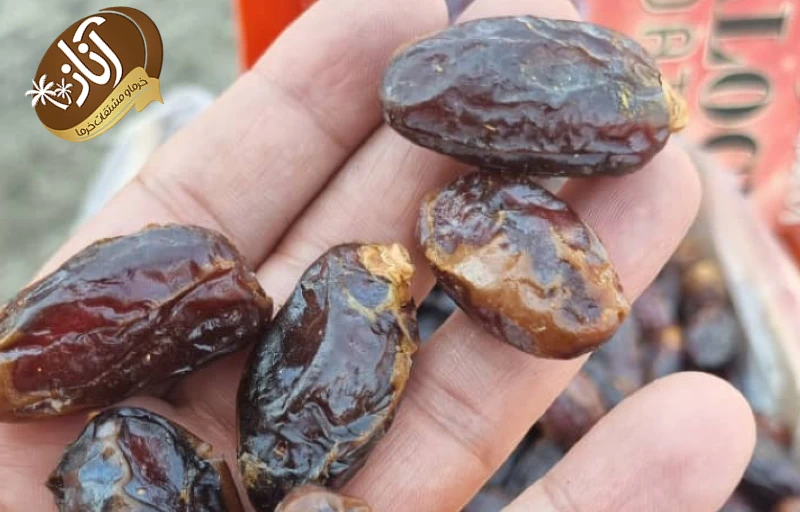 خرما شاهانی 