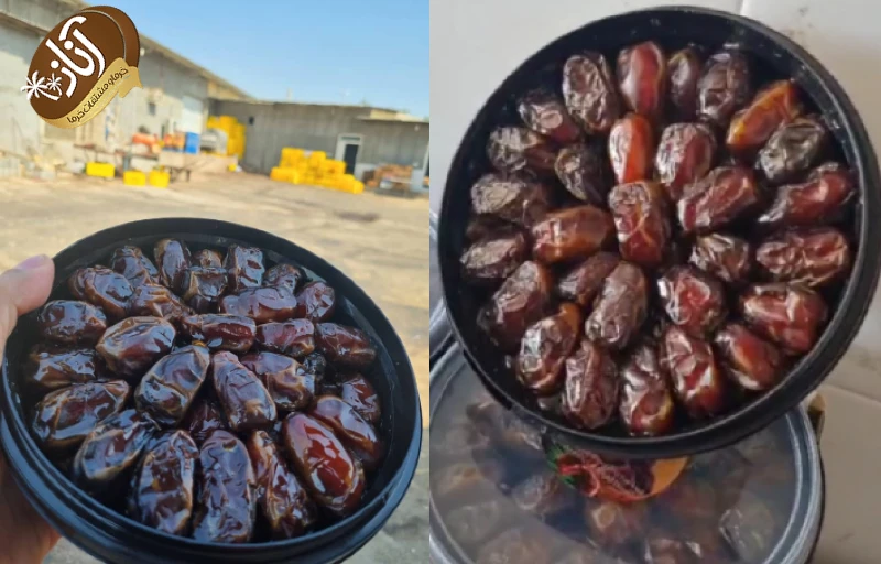 خرما کبکاب سطلی
