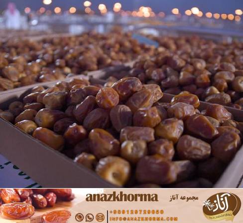 شرایط صادرات خرما به روسیه