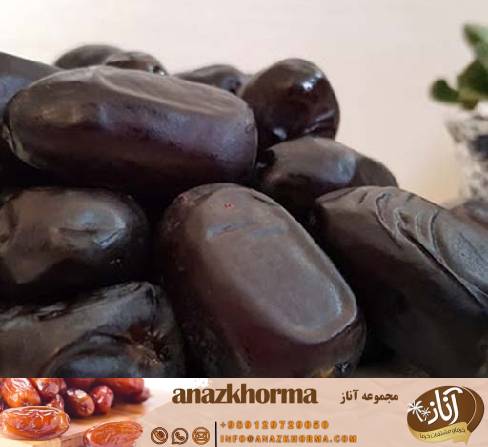 قیمت خرما رطب درجه یک و اعلا