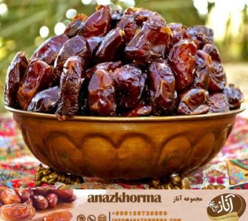 خرمای کبکاب عمده با طعم عالی و بی نظیر