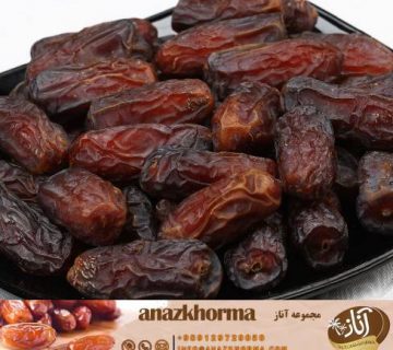 فروش خرمای شاهانی جهرم