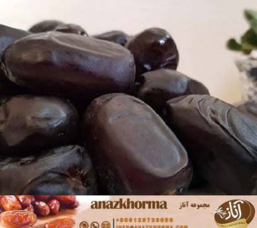 قیمت خرما رطب درجه یک و اعلا