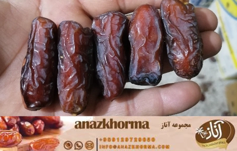 خرما پیارم ممتاز