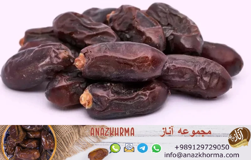 خرمای ربی صادراتی