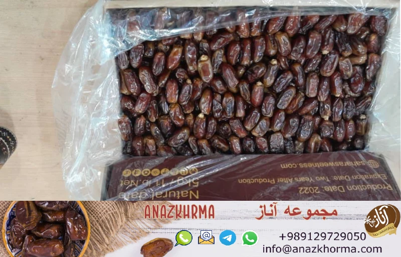 خرما استعمران خوزستان