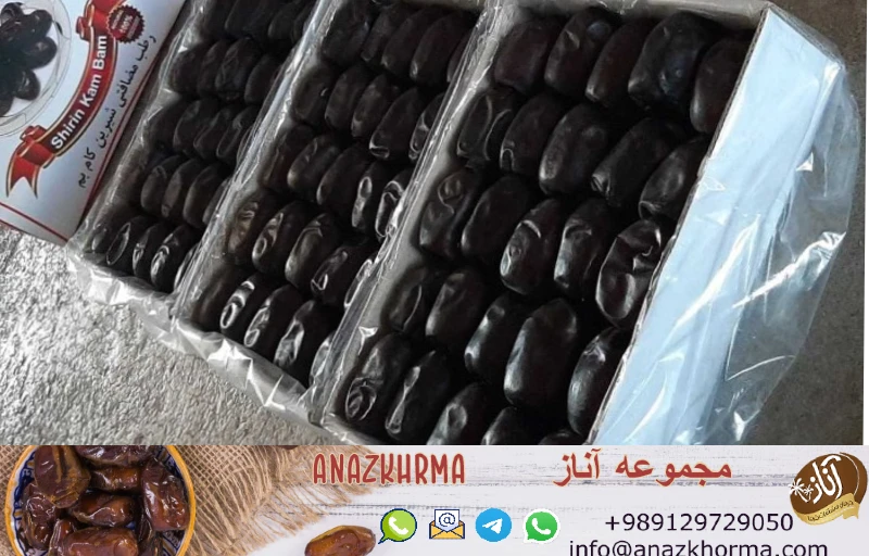 خرما مضافتی بم