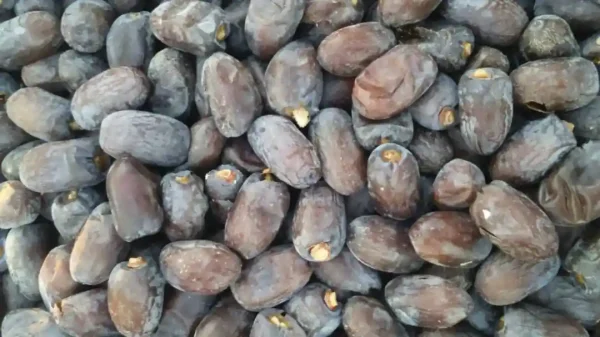 قیمت خرما کلوته جیرفت ۱۴۰۲
