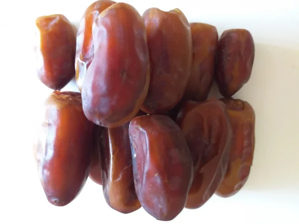 فروش انواع خرمای جهرم