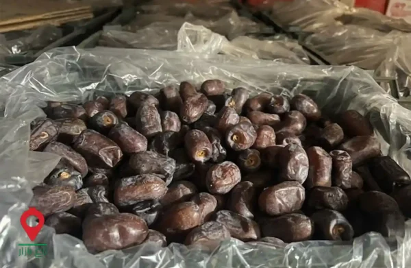 قیمت خرما کلوته جیرفت ۱۴۰۲